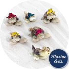 8138 - Mini Cowry Turtles